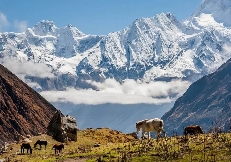 High glaciated terrain on the Manaslu Circuit, typical of the ground crossed on Nepal trekking peak approaches