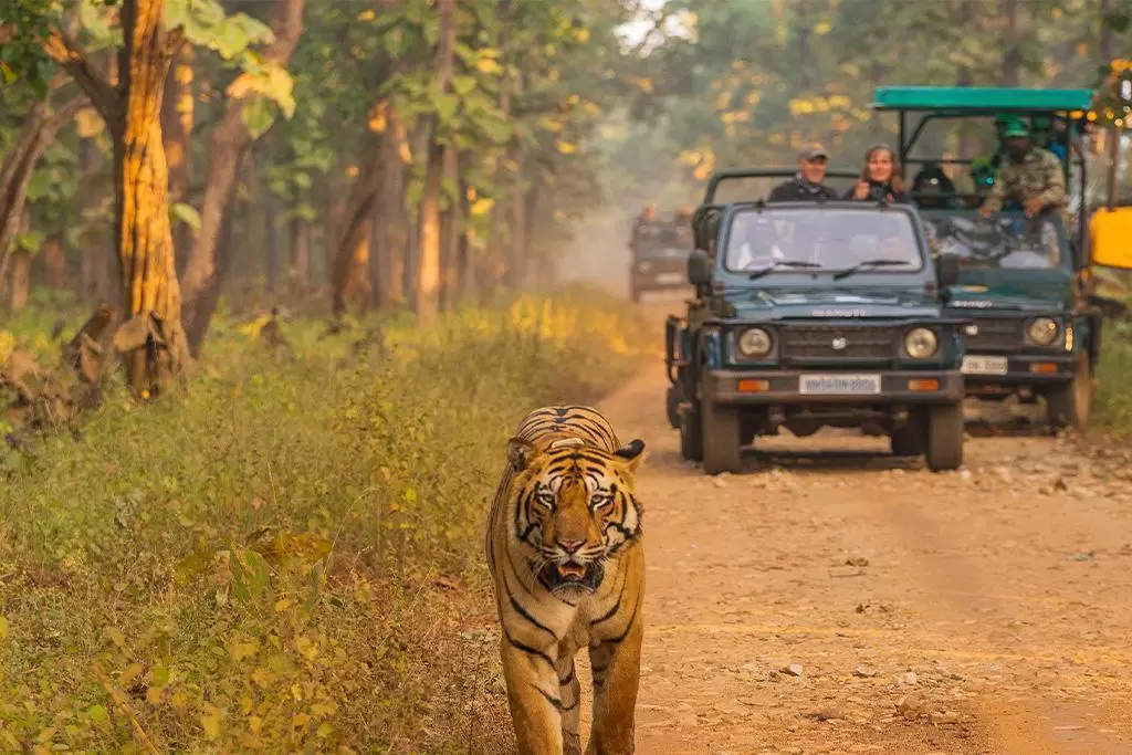 Sal forest and open riverbank in Bardiya National Park