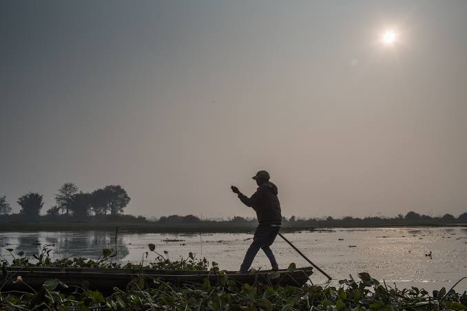 Shallow wetland pools and waterbirds near the Koshi Barrage in Sunsari