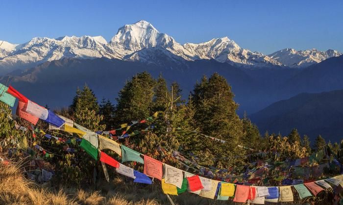 Rhododendron forest and ridge line near Ghorepani and Poon Hill