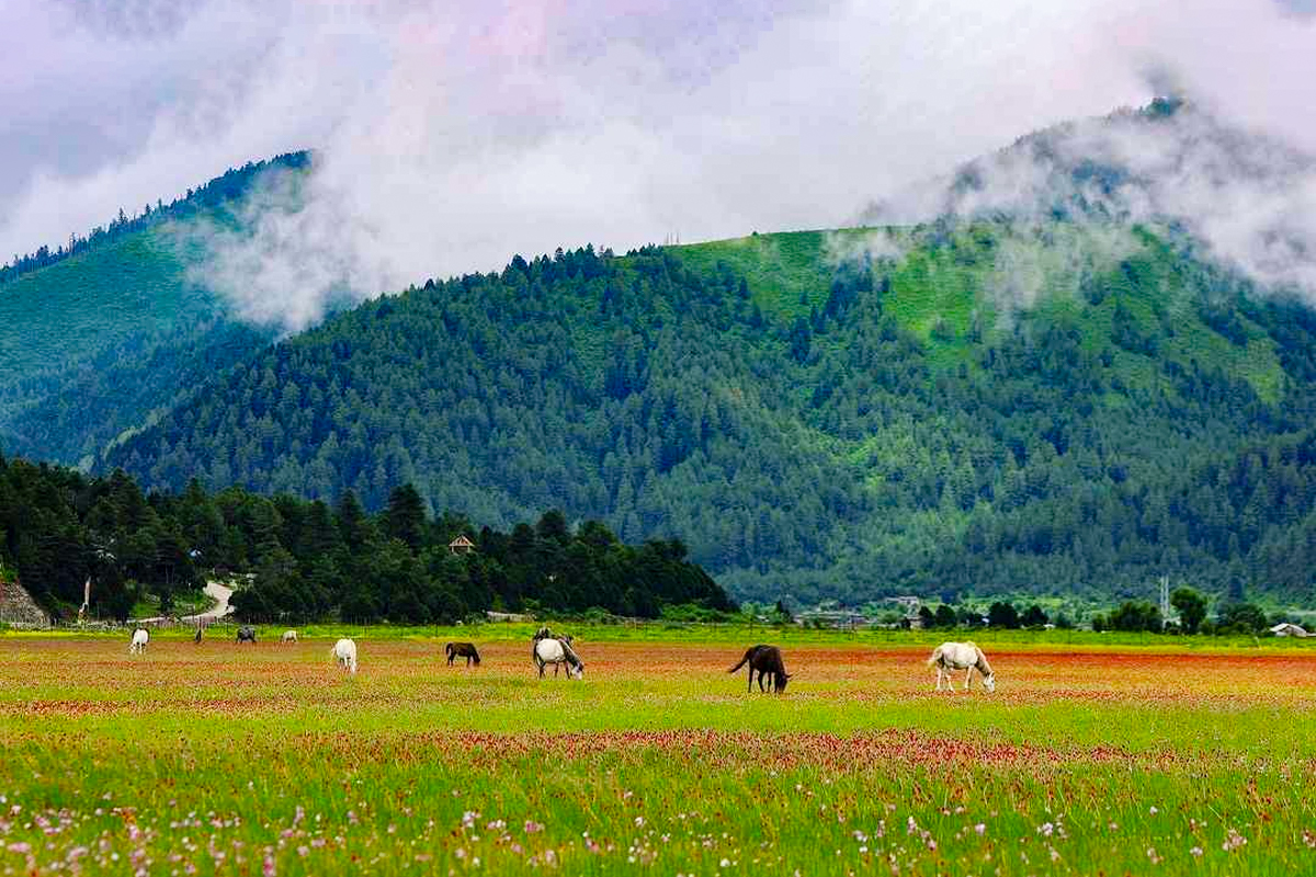 Dhorpatan HUnting Reserve 1