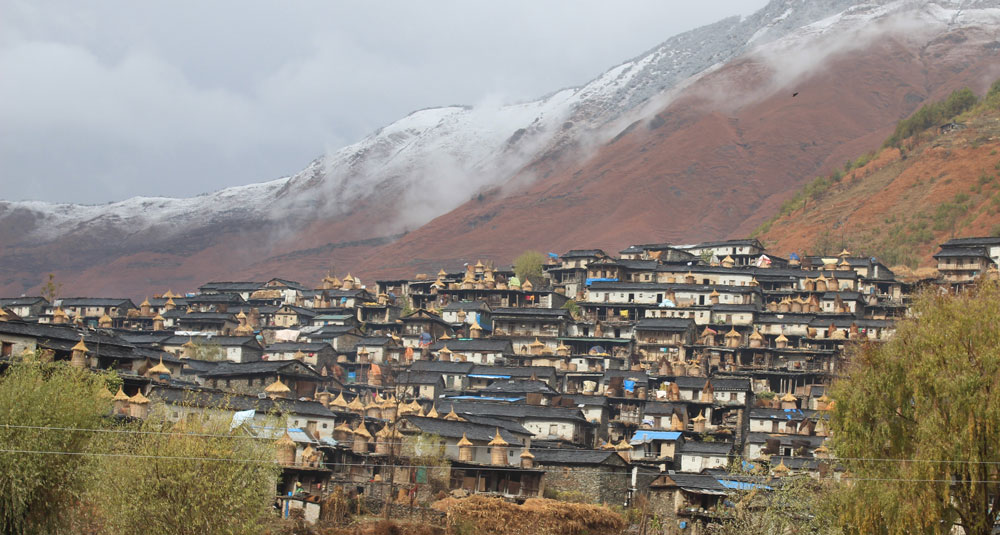 Pashuchaupay nishedhTak gau