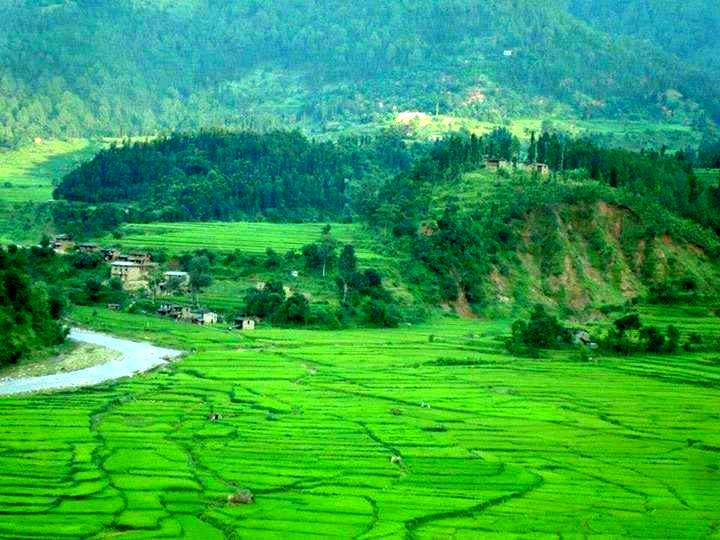 Rukum chaurjahari