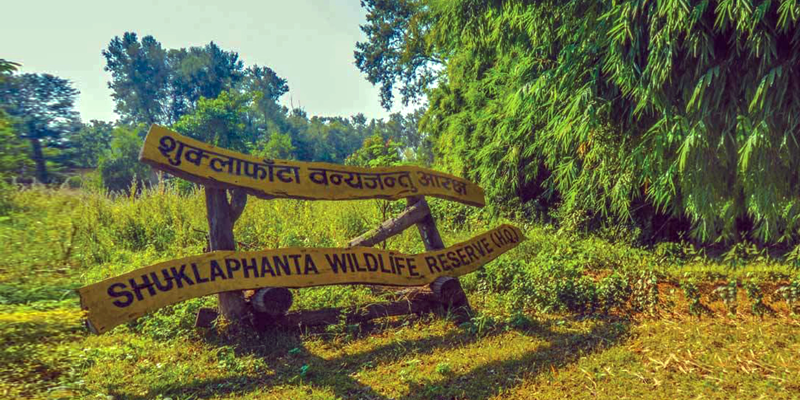 Shuklaphanta Wildlife Reserve Flora and Fauna